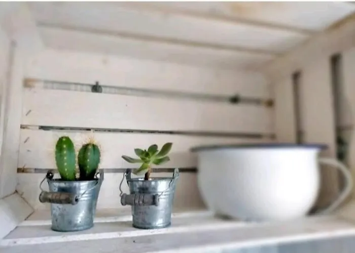 Πανσιόν Calmasinorooms Calmasino